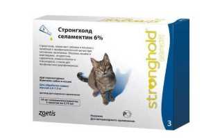 Можно ли обрабатывать беременную кошку от блох и глистов