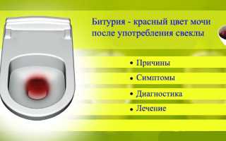 Красная моча после свеклы у взрослых и детей