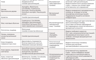 Классификация микозов у животных
