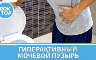 Связь урологии с неврологией