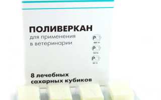 Через которое время можно кормить котенка после таблетки от глистов