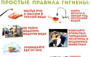 Памятка для населения по профилактике аскаридоза