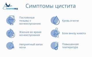 Частое мочеиспускание после полового акта. после секса хочется в туалет