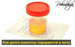 Сколько держится алкоголь в моче и крови