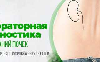 Какой анализ крови показывает состояние почек. Как проверить работу почек и какие анализы сделать