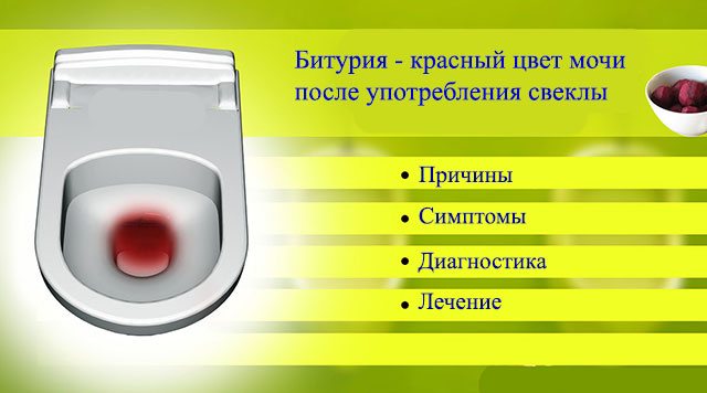 Красная моча после свеклы у взрослых и детей