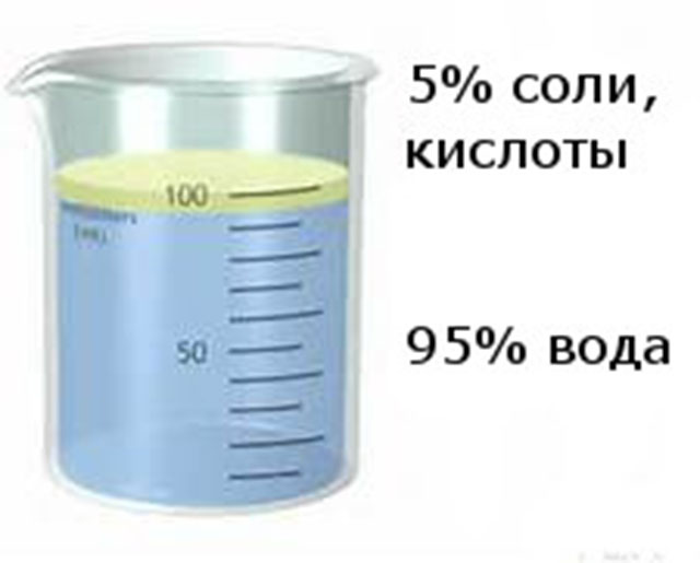 Первичная и вторичная моча: где образуются, что содержат и чем отличаются