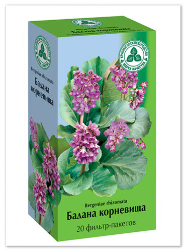 Бадана корневища