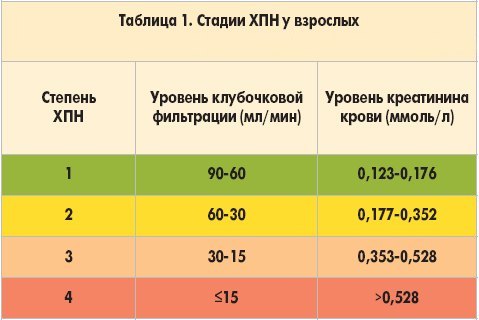 Стадии хронической почечной недостаточности